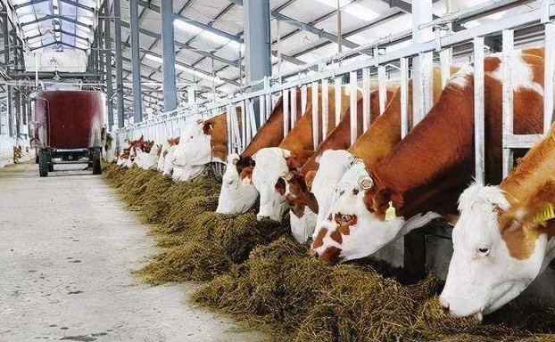 養(yǎng)殖污水處理設(shè)備的如何調(diào)試才能保障正常運行？02