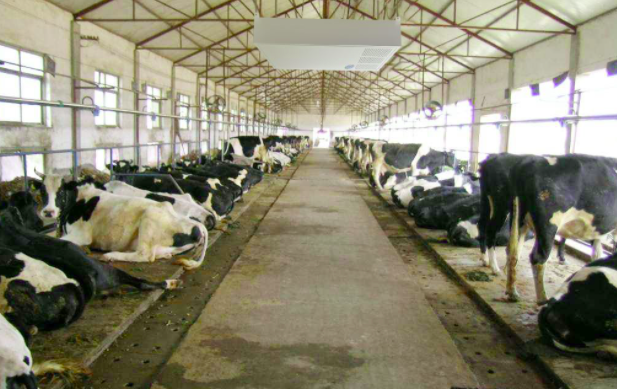 養(yǎng)殖屠宰污水處理設(shè)備使用前，要注意這兩點(diǎn)！01