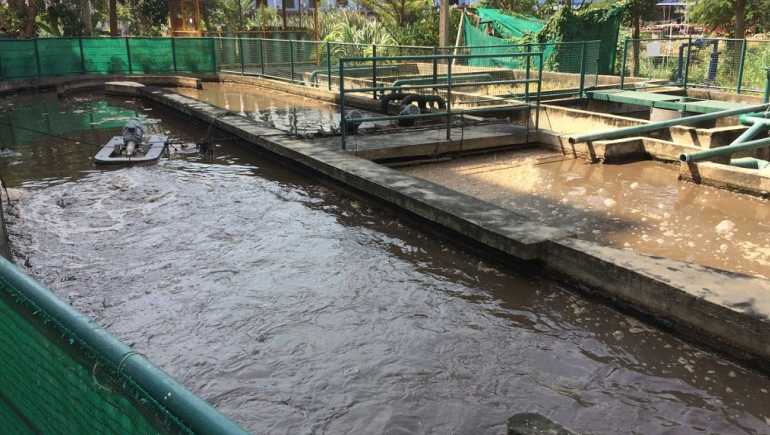 食品加工污水處理流程有哪些？如何更好的處理食品廢水？