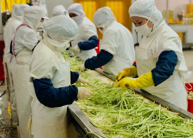 三種食品污水處理設(shè)備工藝流程，看看哪種適合您？