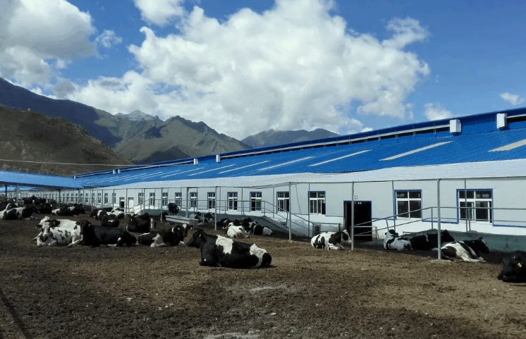 100多頭豬養(yǎng)殖廢水處理方法，用這兩種方法投入低、輕松達(dá)標(biāo)！