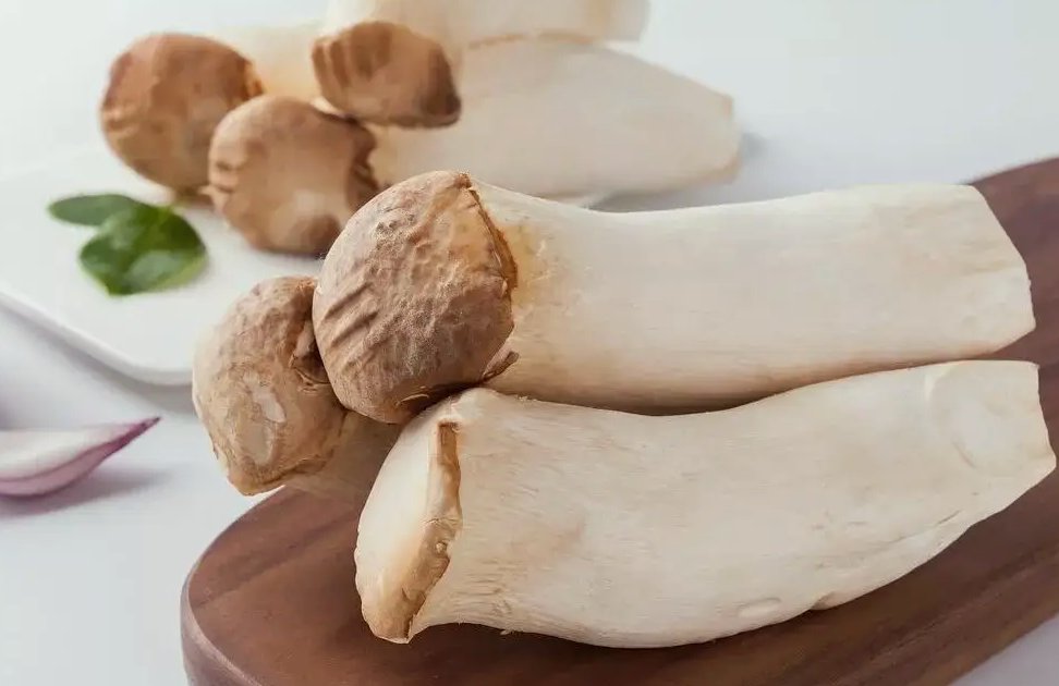 杏鮑菇生產(chǎn)加工廢水排放流程|設備|廢水排放標準